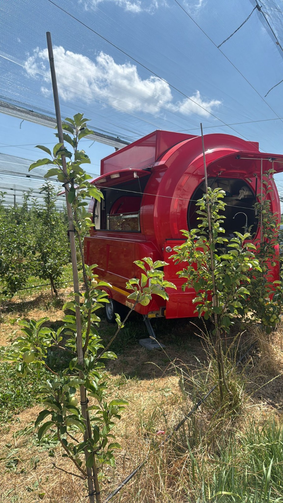 Trailer in canette style with an authentic retro design.